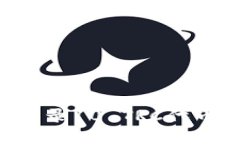 如何在TP钱包中收录10 TRC代币：详细步骤与技巧