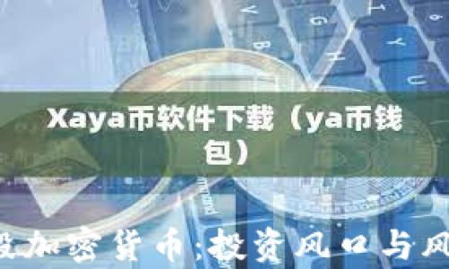 
ICO阶段加密货币：投资风口与风险分析