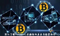 深入了解Polkadot：区块链的未来与投资机会