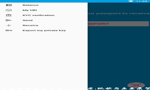 
中国对加密货币的认识程度：现状与未来展望