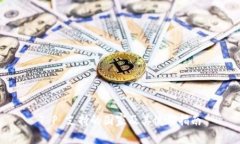 T P 支持的国家及其使用指南